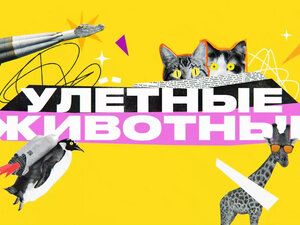 Улетные животные