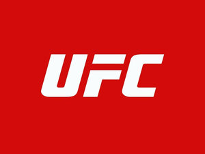 Смешанные единоборства. UFC. Трансляция из США