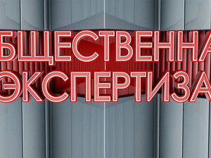 Общественная экспертиза