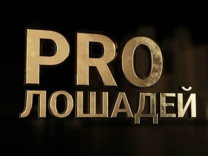 PRO_Лошадей. Фром Тзе Волт