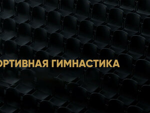 Спортивная гимнастика. Кубок сильнейших спортсменов. Прямая трансляция из Москвы