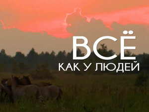 Все как у людей