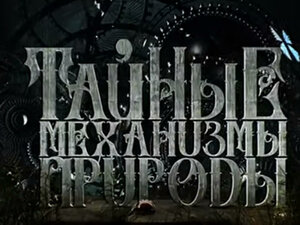 Тайные механизмы природы