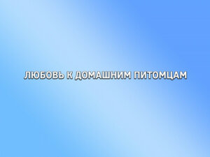 Любовь к домашним питомцам